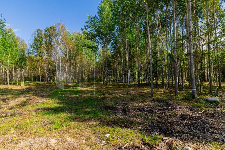 земля р-н Нижнетавдинский фото 2