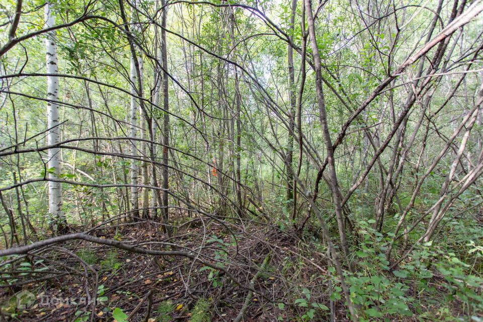 земля г Тобольск Центральная улица, городской округ Тобольск фото 3