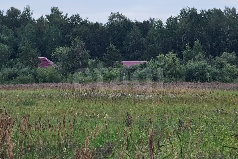 земля р-н Нижнетавдинский село Средние Тарманы фото 2