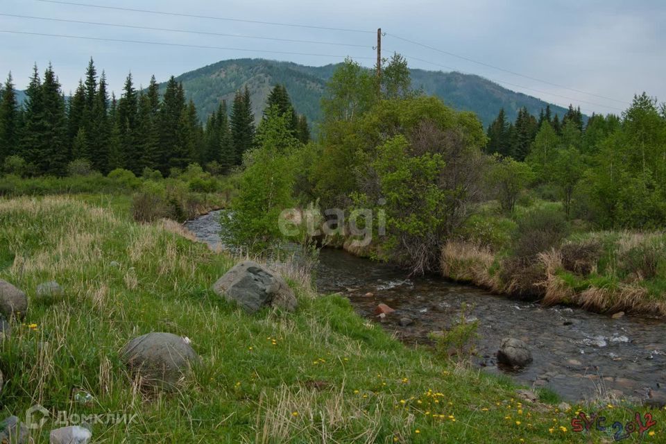 земля р-н Шебалинский село Топучая фото 2