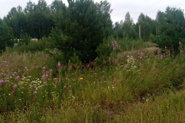 земля Озеро Сундукуль фото