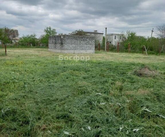 городской округ Феодосия, СПК Лучистое фото