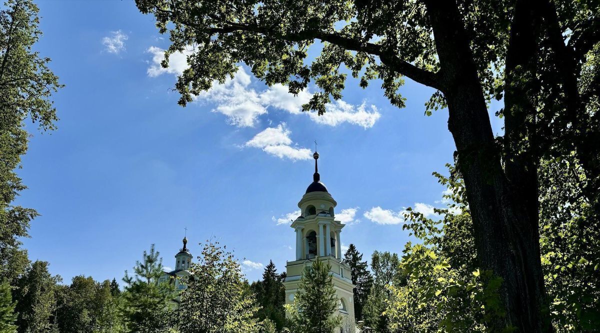 земля городской округ Мытищи д Юрьево Хлебниково, 15А фото 2