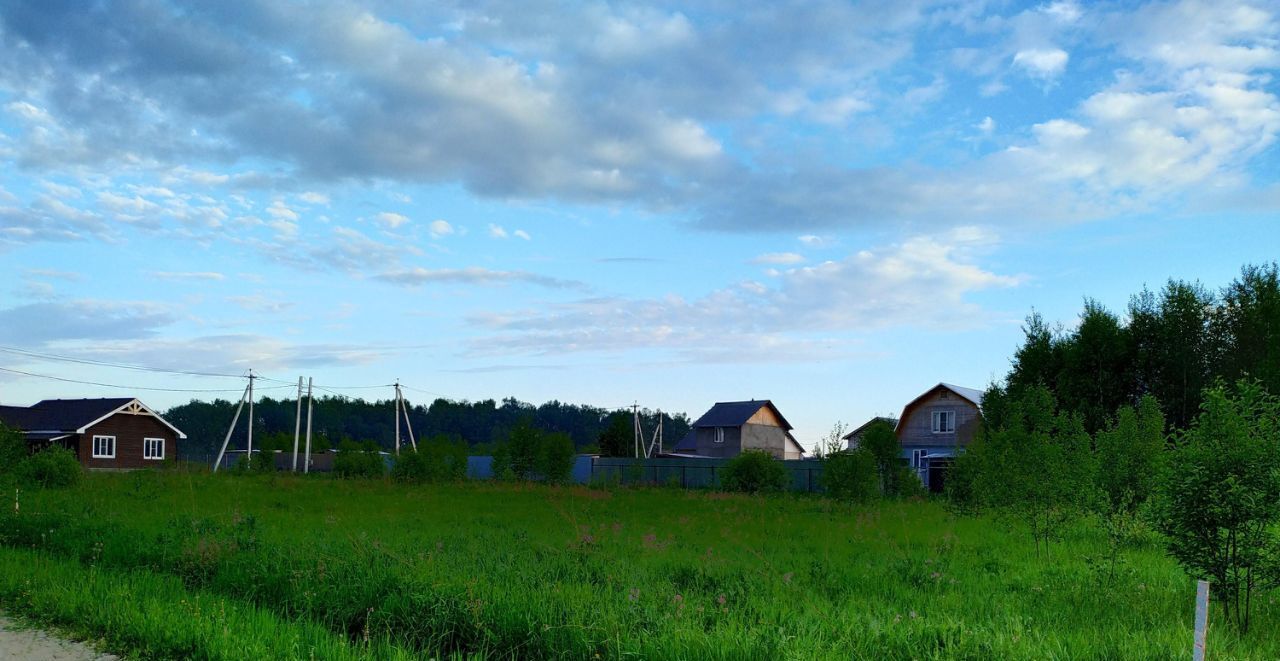 земля городской округ Домодедово д Степыгино 211 фото 10