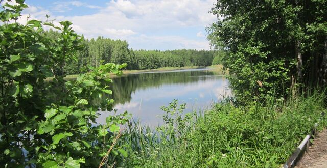 земля д Петухово (Федуринский с/с) Чкаловск фото