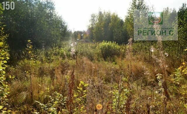 снт Исток 14-я линия, Архангельск фото