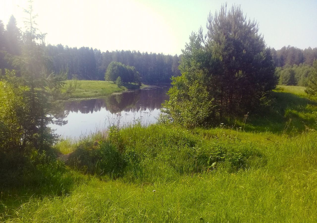 земля р-н Переславский д Лисавы Переславль-Залесский фото 7