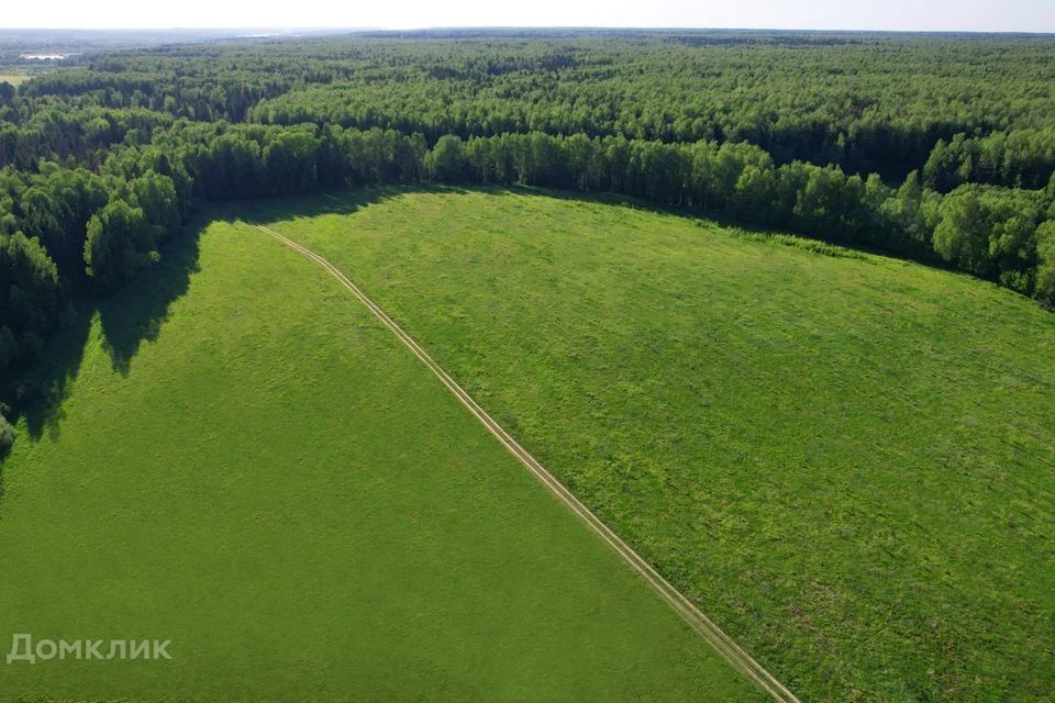 земля городской округ Пушкинский Раздолье фото 1