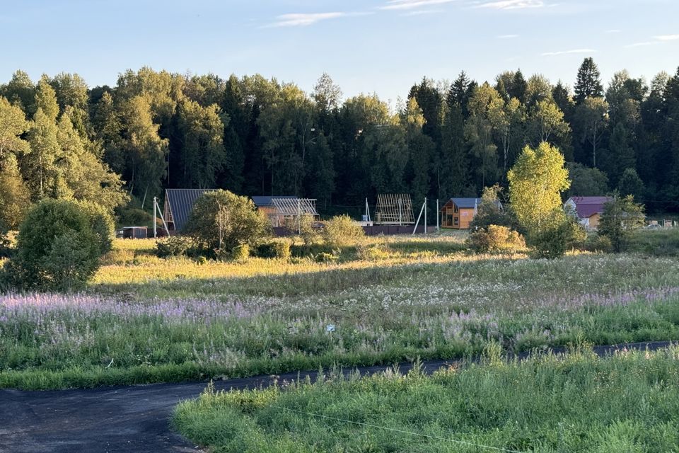 земля городской округ Дмитровский деревня Ваньково фото 1