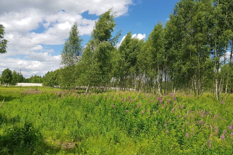 земля городской округ Дмитровский деревня Капорки фото 9