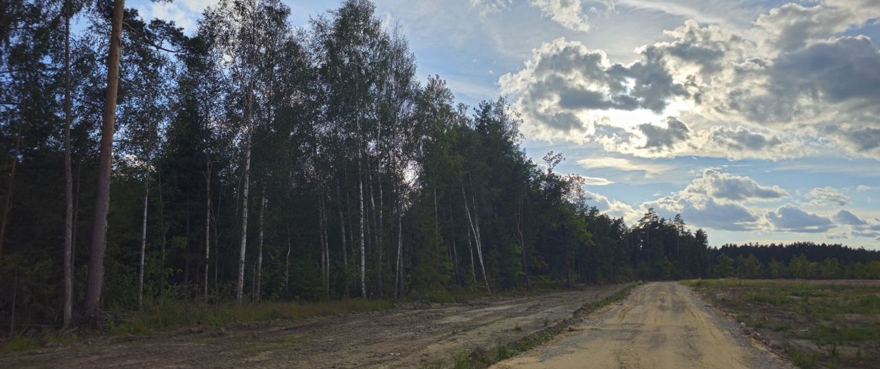 земля городской округ Богородский г Электроугли мкр Светлый 9745 км, Носовихинское шоссе фото 26