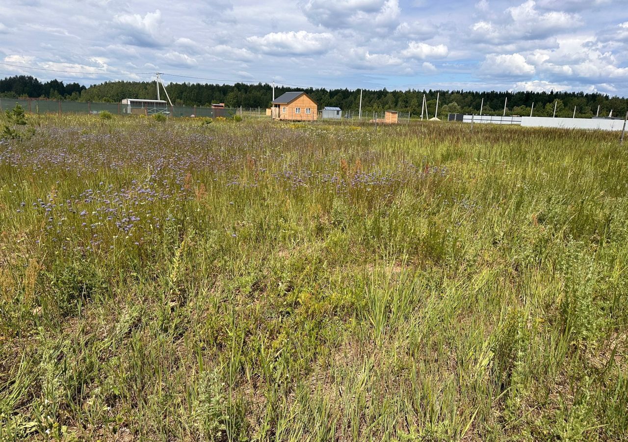 земля городской округ Орехово-Зуевский д Запрудино 69 км, Куровское, Егорьевское шоссе фото 3