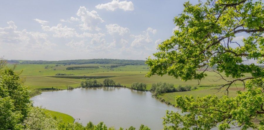 земля р-н Зеленодольский с Русско-Марийские Ковали фото 2