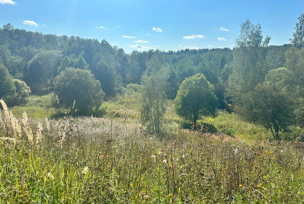 земля городской округ Клин д Кузнечково фото 26