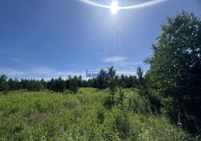 земля р-н Пригородный п Горноуральский Петрокаменское фото