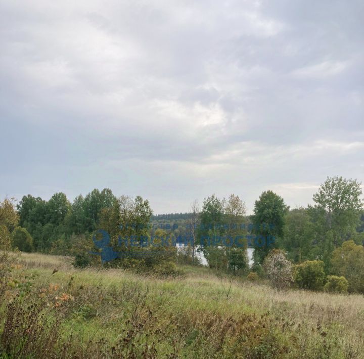 земля р-н Выборгский п Свободное Каменногорское городское поселение фото 3