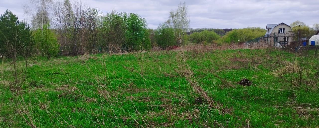 земля городской округ Серебряные Пруды с Куребино 9863 км, Серебряные Пруды, Каширское шоссе фото 4