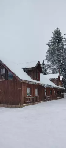 п Черничное Тригорская дорога, 5, Советский фото