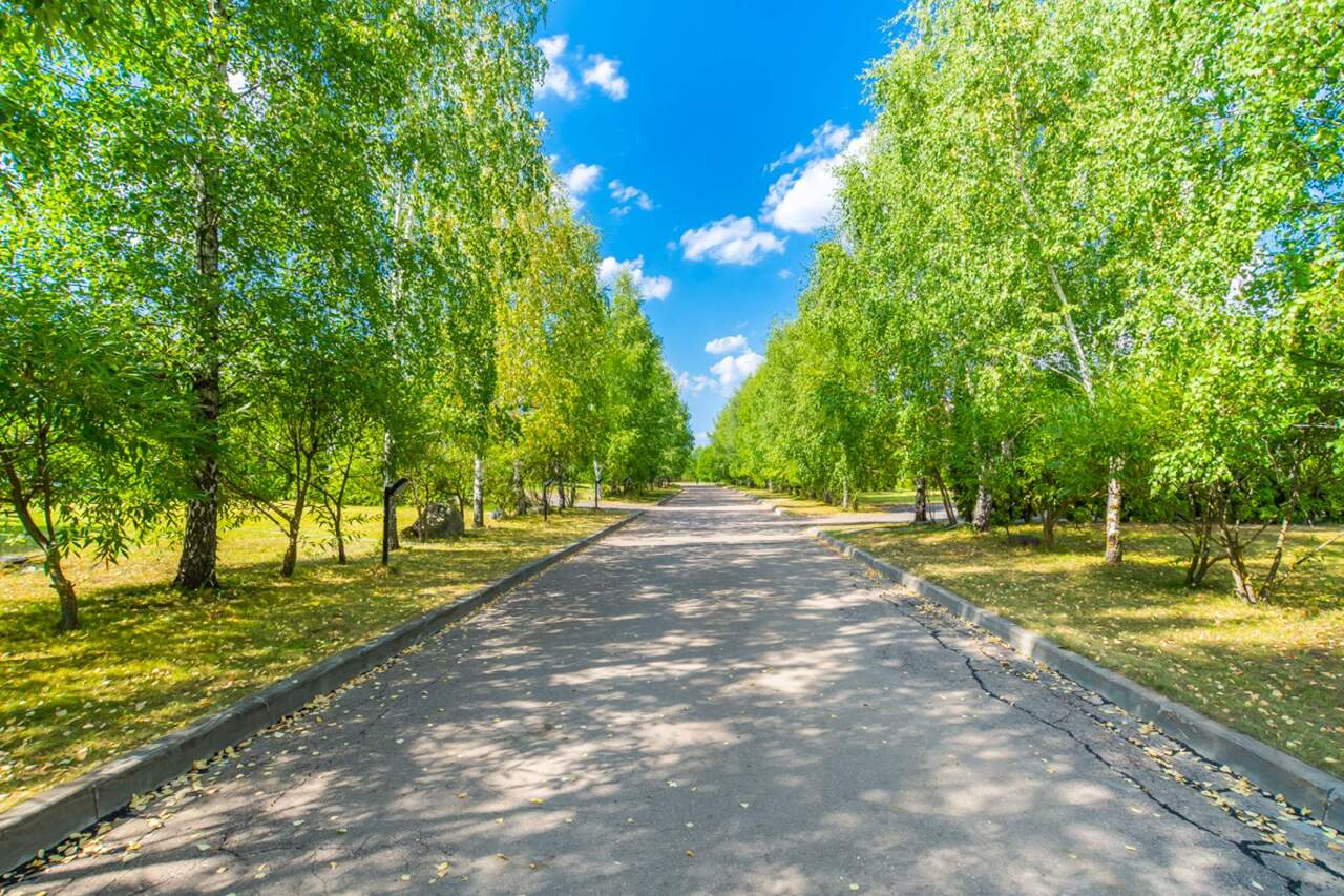 дом городской округ Дмитровский д Спас-Каменка д. Б 9, Дмитровское шоссе фото 8