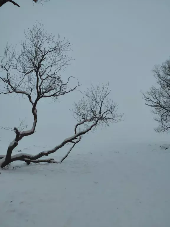 квартира Петергоф, Дивеевская улица, 1 фото 12