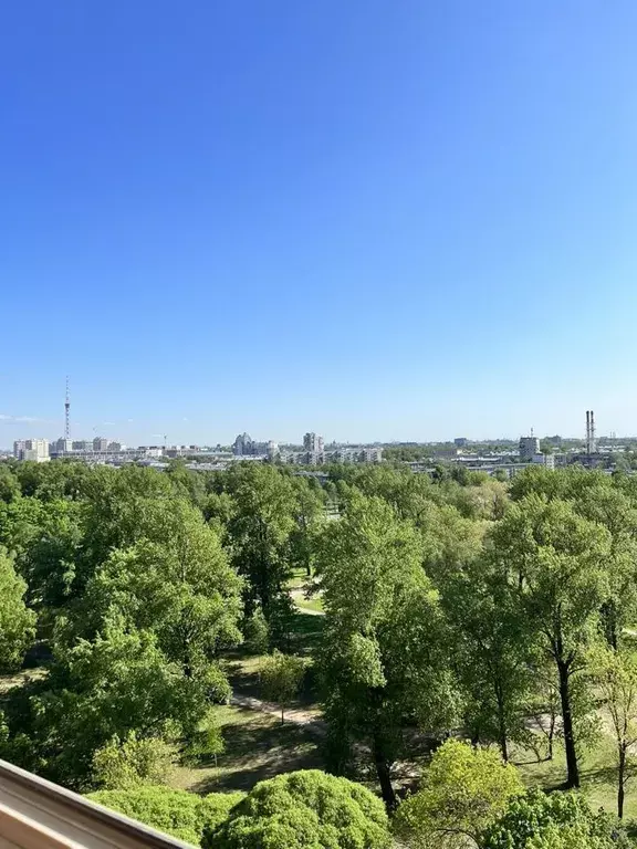 квартира г Санкт-Петербург метро Пионерская пр-кт Коломяжский 7 Ленинградская область фото 20