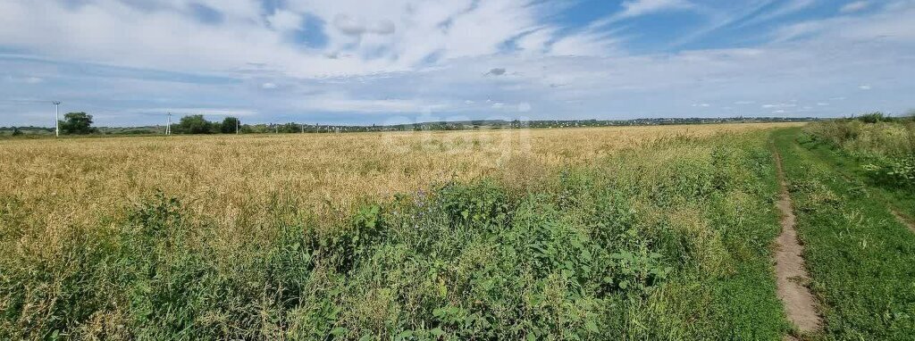 земля р-н Рамонский п Солнечный ул Парковая фото 4