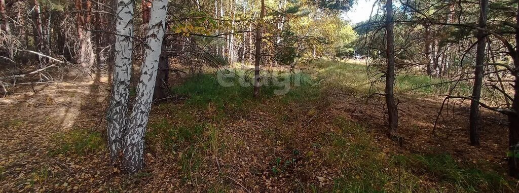 земля р-н Старомайнский п Садовка Краснореченское сельское поселение фото 2