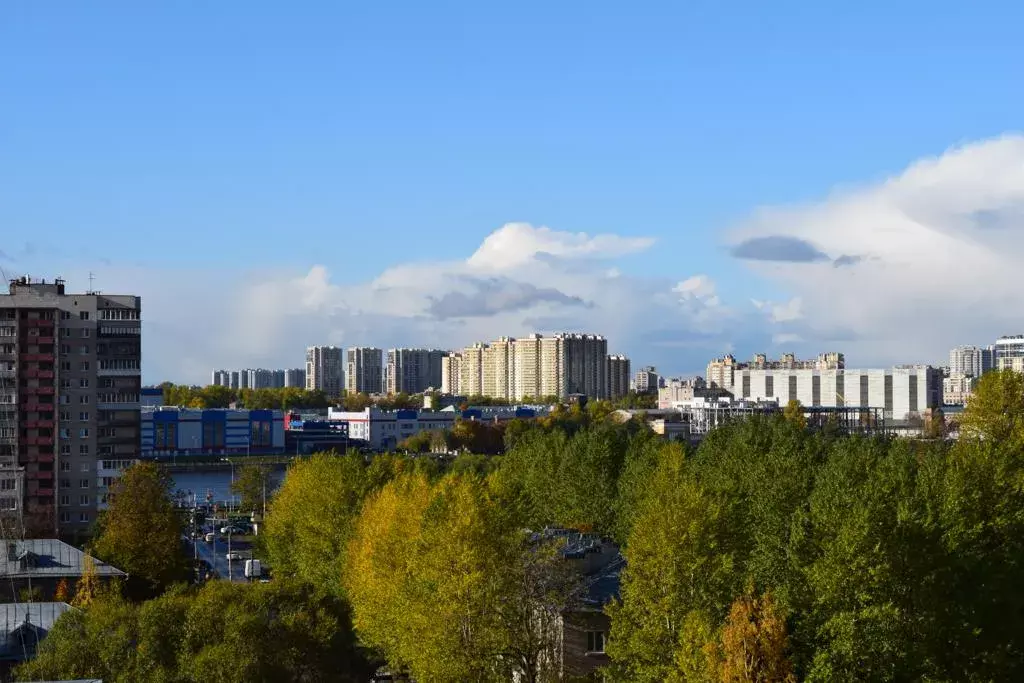 квартира г Санкт-Петербург метро Ломоносовская ул Русановская 9 Ленинградская область фото 24