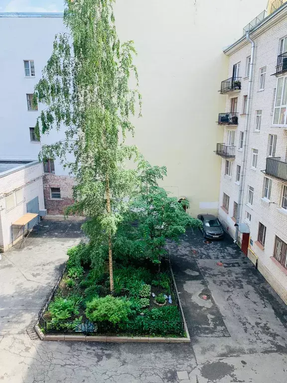 квартира г Санкт-Петербург метро Чкаловская ул Большая Пушкарская 23 Ленинградская область фото 19