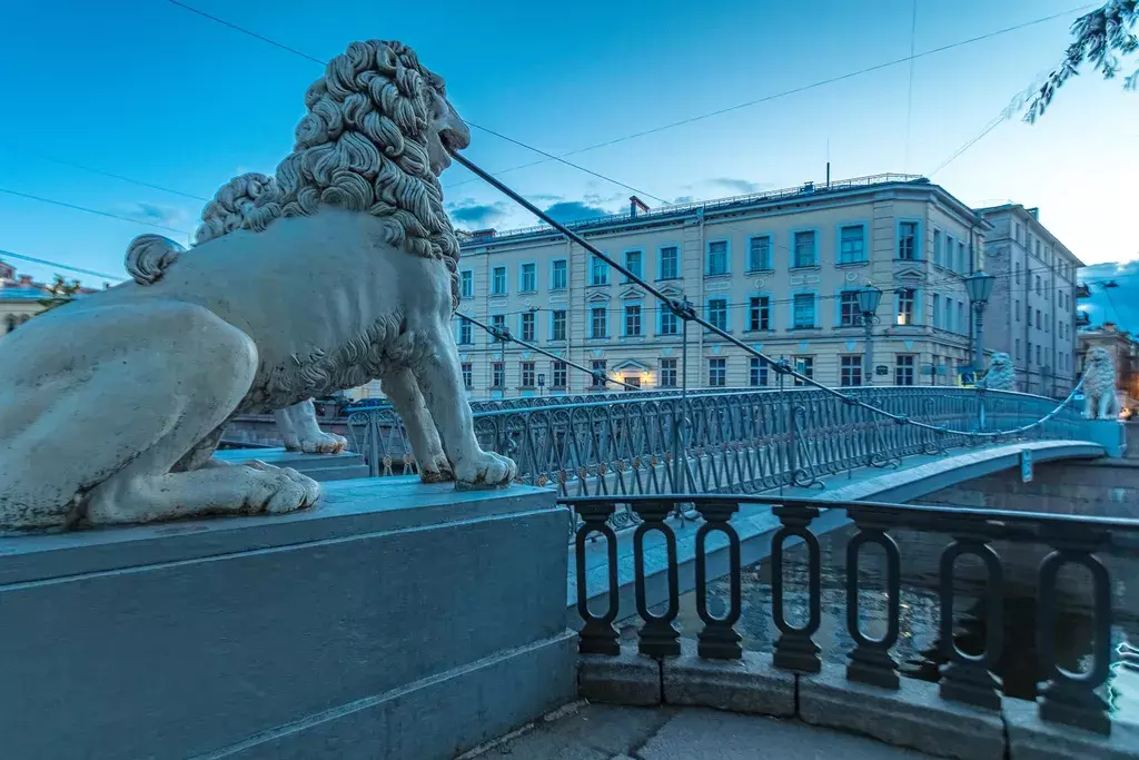 квартира г Санкт-Петербург метро Садовая наб Канала Грибоедова 102 Ленинградская область фото 14