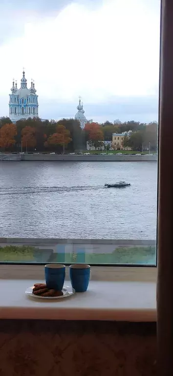 квартира г Санкт-Петербург метро Новочеркасская наб Свердловская 64 Ленинградская область фото 33