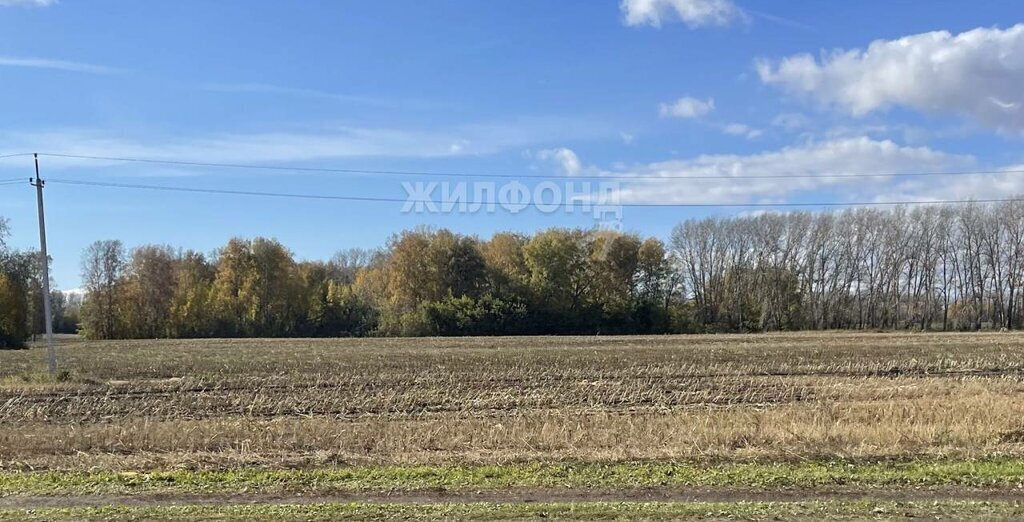 земля р-н Новосибирский Морской сельсовет, ТСН Ближняя Дача, Солнечная улица фото 2