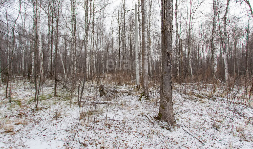 земля г Тобольск мкр 19 фото 15