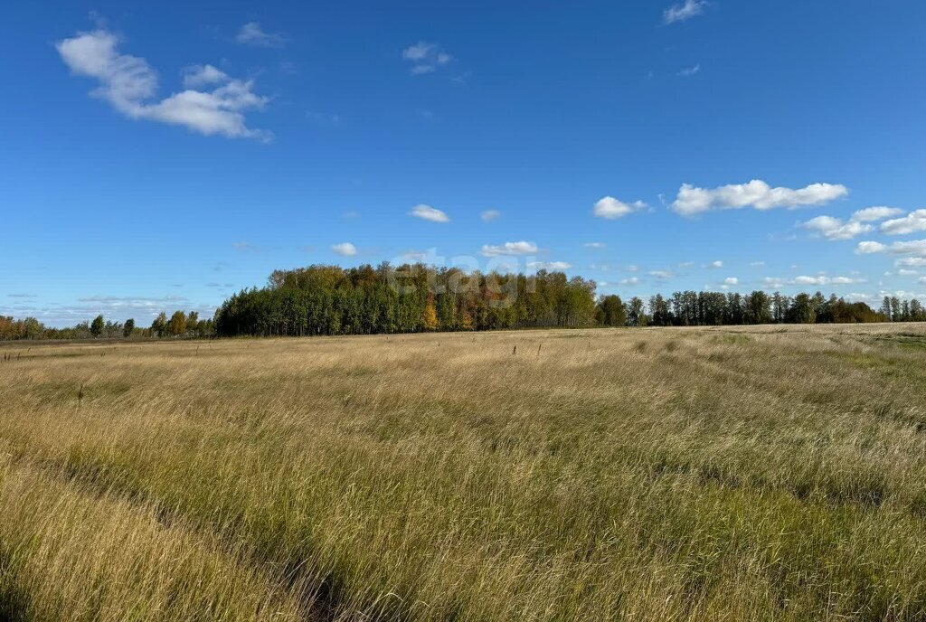 земля р-н Красноармейский п Луговой фото 11