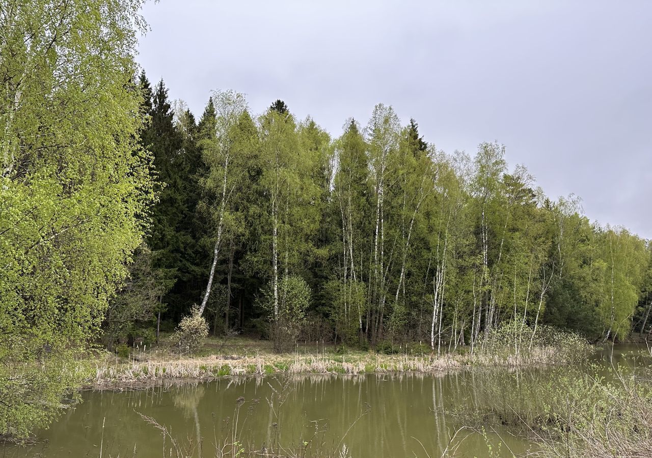 дом городской округ Чехов д Ходаево снт Сантория 43 км, Чехов, Симферопольское шоссе фото 31