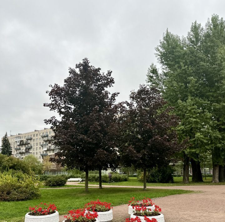 квартира г Санкт-Петербург метро Новочеркасская пр-кт Новочеркасский 12к/1 фото 21