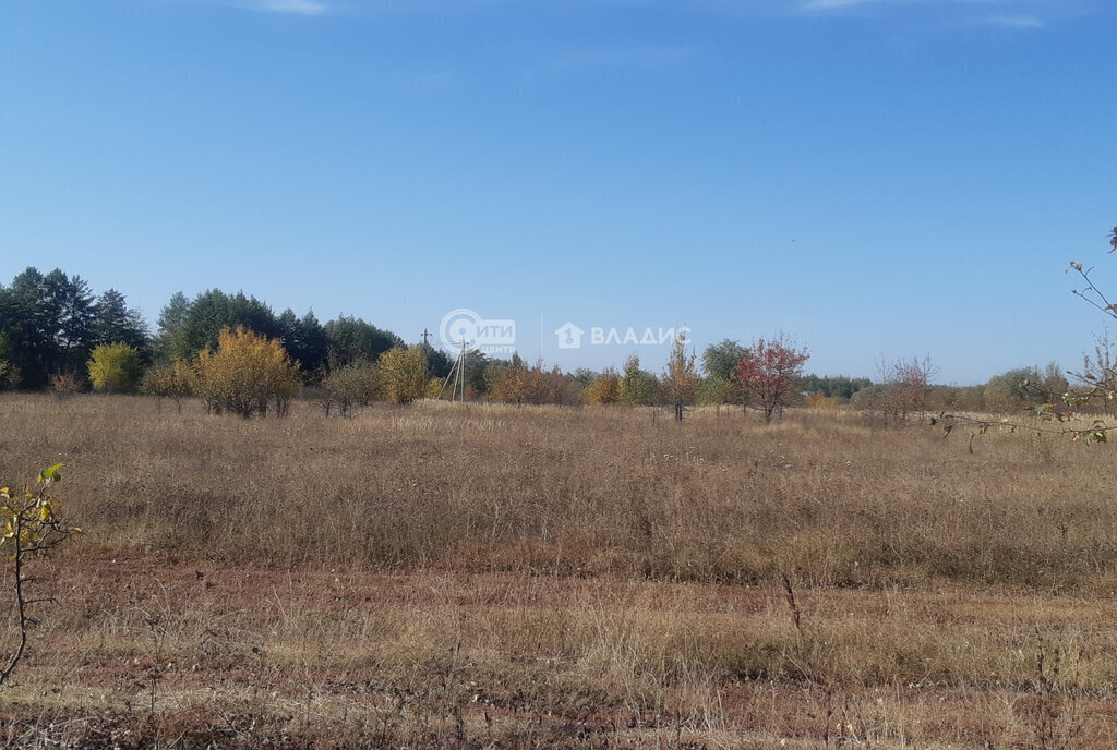 земля р-н Новоусманский с Новая Усмань Октябрьская улица, 19/2 фото 16