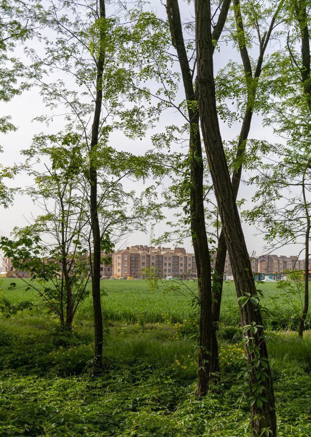 квартира г Ростов-на-Дону ул Центральная 7 корп. 4 фото 2