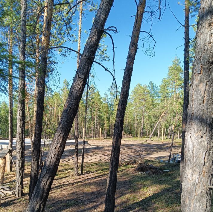 земля у Мегино-Кангаласский п Нижний Бестях фото 6