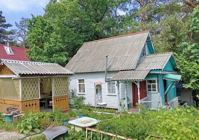 садоводческий массив Красная Горка, 215 фото