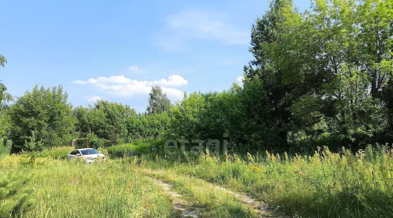 земля Кстовский муниципальный округ, д. Новая фото 10