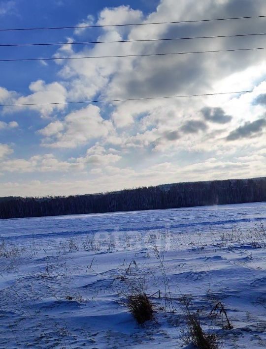 земля г Екатеринбург р-н Чкаловский Кургановский дп фото 4