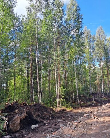 г Всеволожск ш Южное Дорога жизни, 9735 км, Всеволожское городское поселение фото