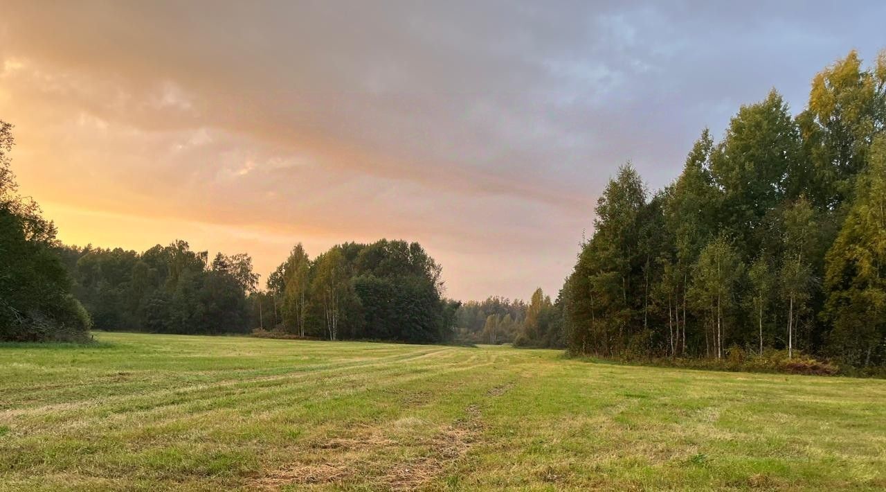 земля р-н Приозерский Мельниковское с/пос, ул. Прибрежная фото 2