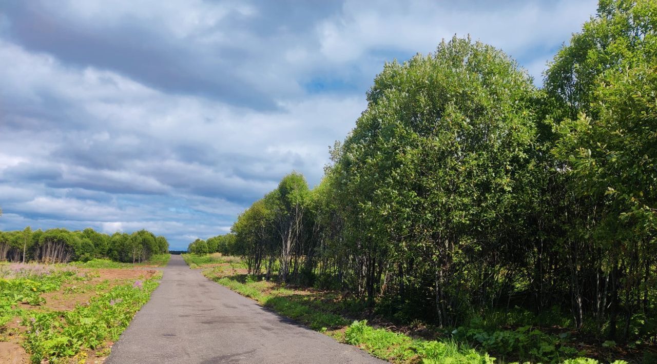 земля городской округ Истра д Троица фото 8