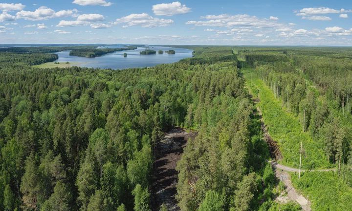 земля р-н Прионежский п Шуя Шуйское сельское поселение фото 10