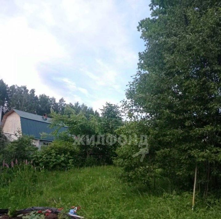 земля г Томск р-н Кировский снт Геолог-2 33 фото 7