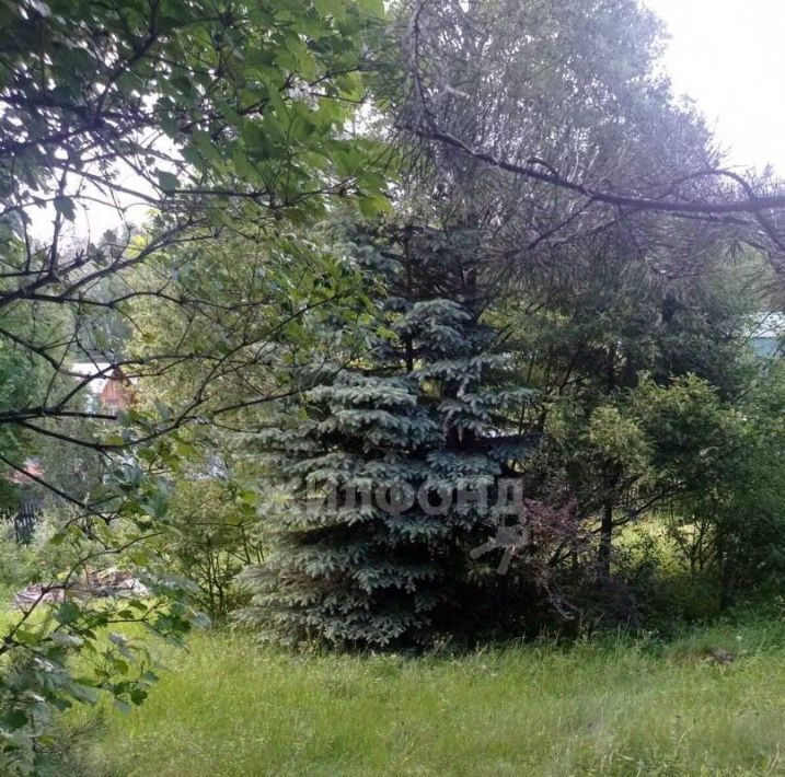 земля г Томск р-н Кировский снт Геолог-2 33 фото 12