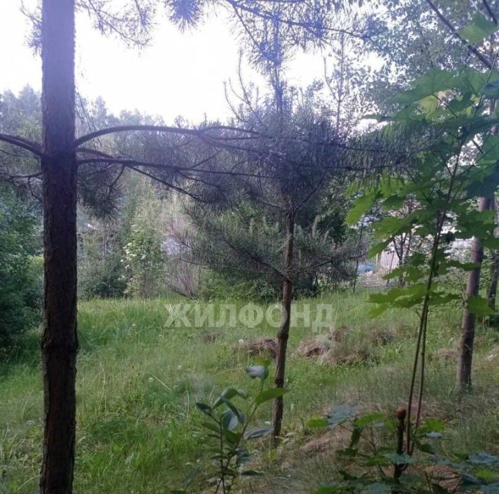 земля г Томск р-н Кировский снт Геолог-2 33 фото 16