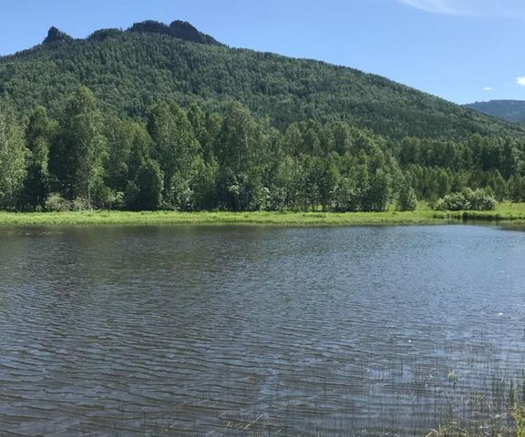 земля р-н Чарышский село Майорка фото